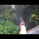 Elsv Rainforest 3