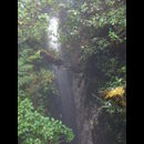 Elsv Rainforest 4