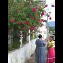 Elsv Suchitoto 4