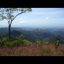 Elsv Trekking 14