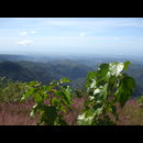 Elsv Trekking 15