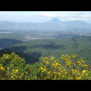 Elsv Trekking 24