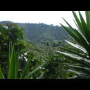 Elsv Trekking 5