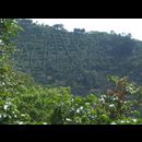 Elsv Trekking 7