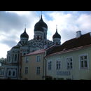 Talinn 6