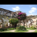 Guatemala Antigua Life 6