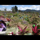 Guatemala Cemetry 22