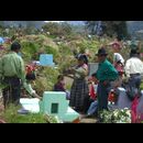 Guatemala Cemetry 23