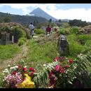 Guatemala Cemetry 25
