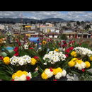 Guatemala Cemetry 3