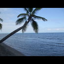 Guatemala Coast 11