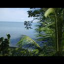 Guatemala Coast 3