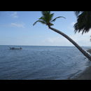 Guatemala Coast 9