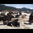 Guatemala Maya 10