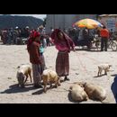 Guatemala Maya 3