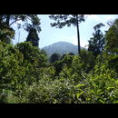 Guatemala Volcanoes 24