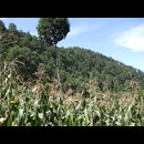 Guatemala Volcanoes 4
