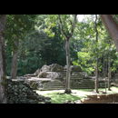 Honduras Copan 2