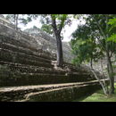 Honduras Copan 8
