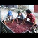 Honduras Life 3