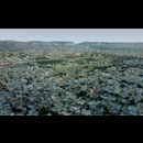 Jaipur
