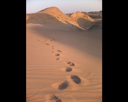 Dasht e Lut 9