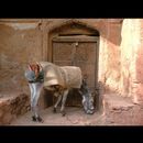 Abyaneh 13