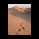 Dasht e Lut 9