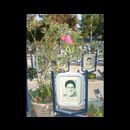 Esfahan cemetry 3