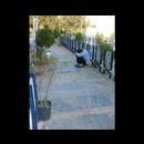 Esfahan cemetry 4