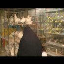 Esfahan craftsmen 8