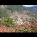 Masuleh