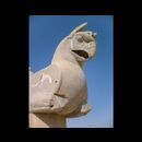 Persepolis 5