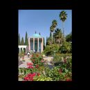 Shiraz city 10