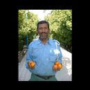 Shiraz city 12