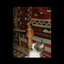 Shiraz city 14
