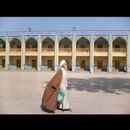Shiraz city 20
