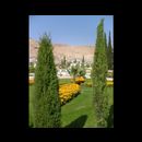 Shiraz city 9