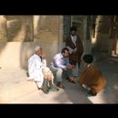 Shiraz Mullahs 7