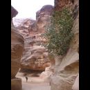 Petra siq 4