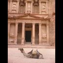 Petra treasury 7