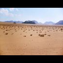 Wadi Rum 54