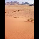 Wadi Rum 60