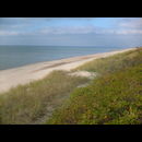 Beaches