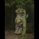 Forest Carvings