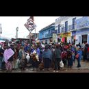 Mexico Animal Markets