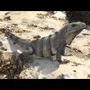 Mexico Tulum