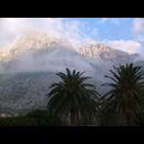 Kotor