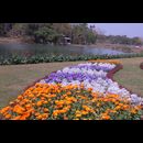 Burma Gardens 16
