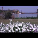 Burma Gardens 18